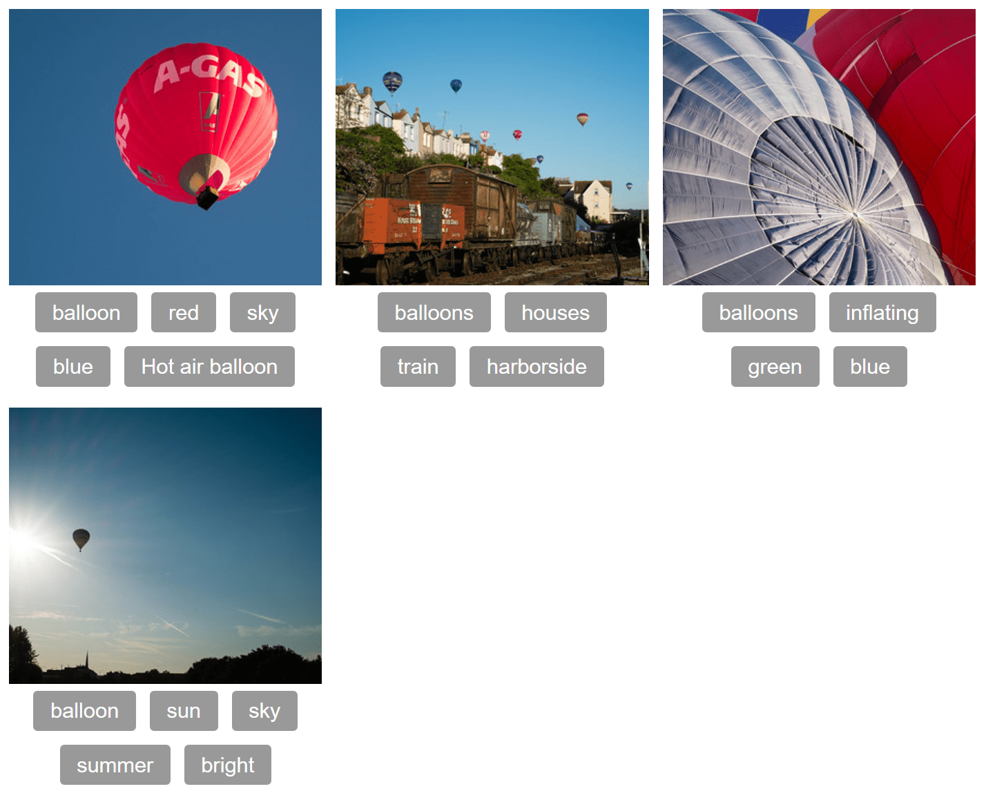 两行卡片，每个卡片有一个图像和一组标签.
